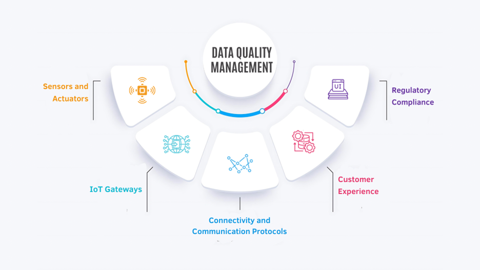 Data Quality Management